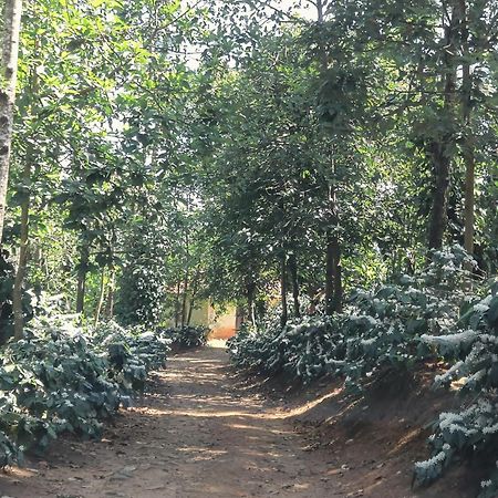 Jp Homestay Somwarpet Coorg Hangal Exterior photo
